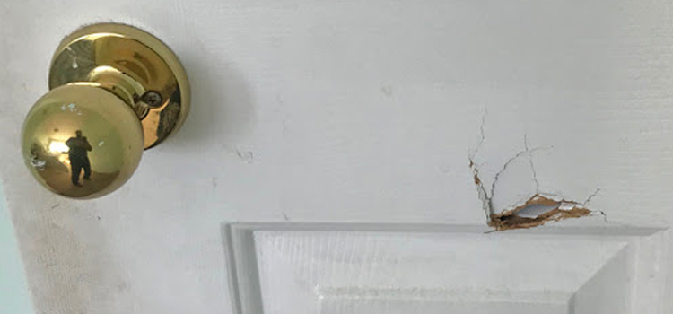 interior door hole repair Altadena