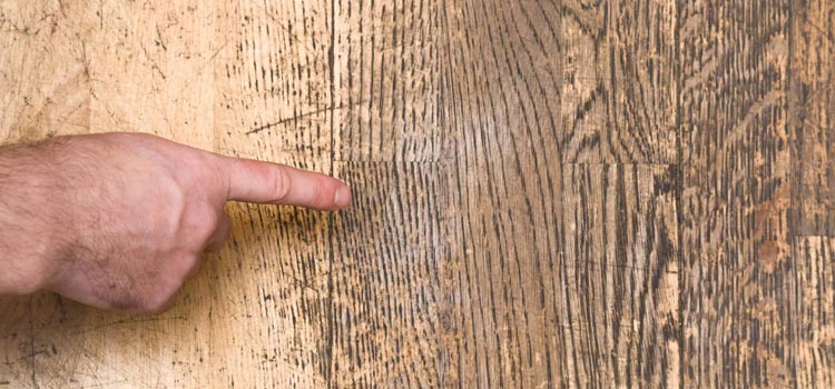 Wood Door Scratch Repair in Altadena